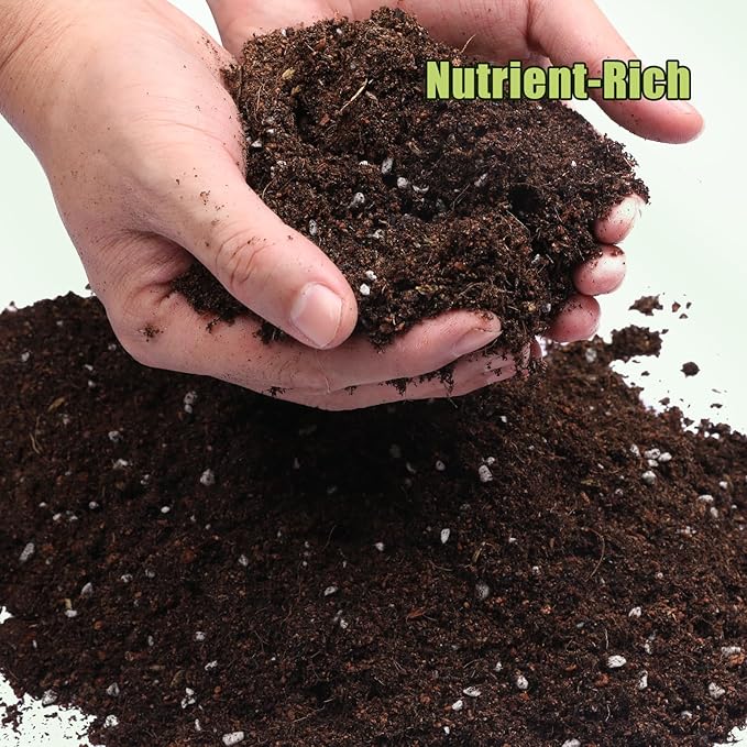 Organic Avocado Tree Potting Soil Mix 10qt, Enhance Growth and Transplant Success for Avocado Plants