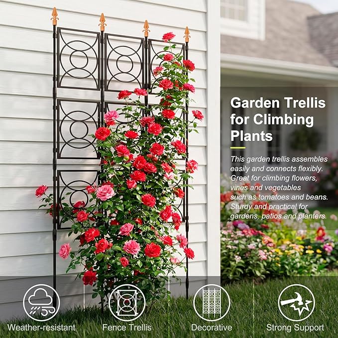 Trellis for Climbing Plants Outdoor, 24 Rifny Tall Garden Trellis Flower Rose Cucumber Trellis for Vines Pea Support, Wall Large Plant Trellis Fence with Plastic Coated Metal Poles, 3 x 6.2 FT