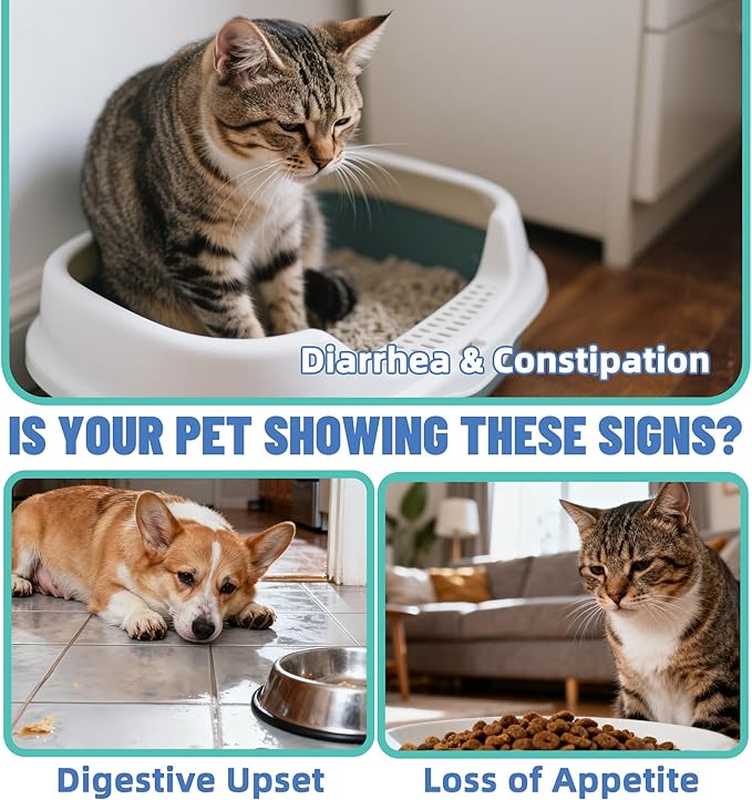 Just Try 7oz Probiotic Powder Probiotics for Dogs & Cat Probiotic - Gut Health for Dogs & Cat Constipation Relief Chicken Flavored - Dog Supplements Cat Supplies 200g
