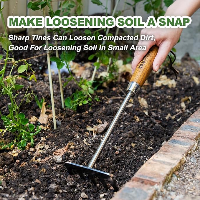 Haliaeetus Hand Rake Garden Tool, Stainless Steel Small Rake for Raking Leaves in Flower Beds, 5 Tines Hand Tiller Make Loosening Soil A Snap, Hand Cultivator with Comfortable Handle for Quick Weeding