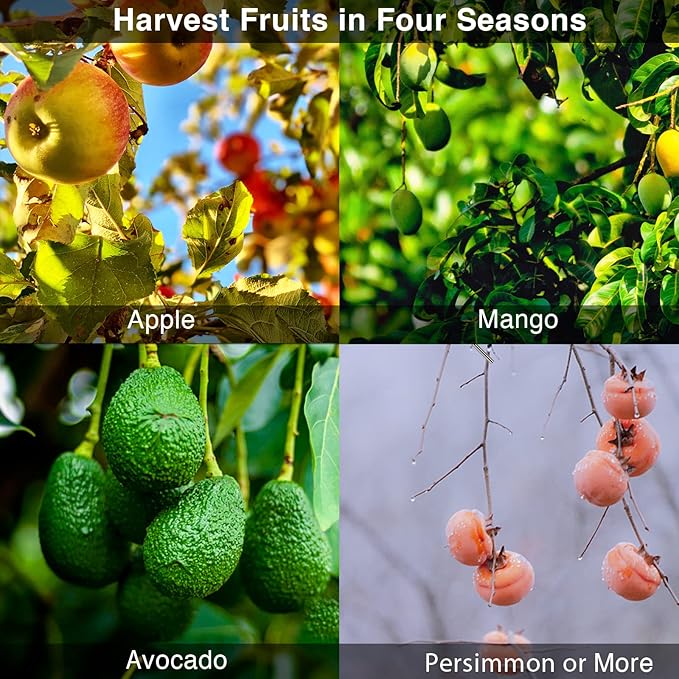 DonSail DnSail Fruit Picker Pole Tool with Basket Telescoping - Adjustable Mango Picker 35-68 inch Long Handle - Apple Orange Avocado Acorn Lemon Pear Pomelo Chery Picker for Tree