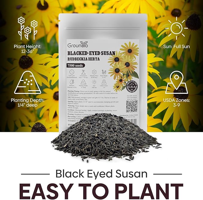 Black Eyed Susan Seeds, Perennial Rudbeckia Hirta Yellow Flower for Attract Pollinators, Non-GMO, Heirloom Wildflowers Seeds, USDA Zone 3-9, 2g