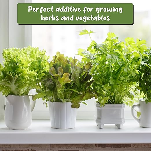 Soil Sunrise Greensand Soil Additive (5 Pounds) Special Container Gardening Additive