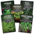 Survival Garden Seeds 5 Greens Collection Seed Vault – Grow Non-GMO Heirloom Green Leafy Vegetables – Viroflay Spinach, Arugula, Lacinato Kale, Salad Bowl Lettuce & Rainbow Swiss Chard Seed