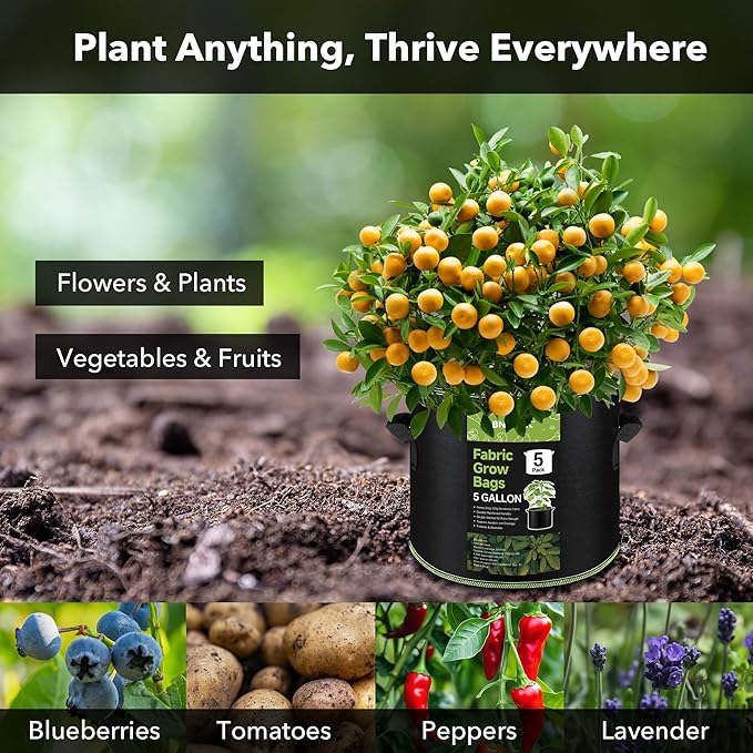 BN-LINK 5-Pack 5 Gallon Grow Bags, Heavy Duty Aeration Fabric Pots with Handles, Thickened Nonwoven Plant Bags for Vegetables, Flowers, Fruits