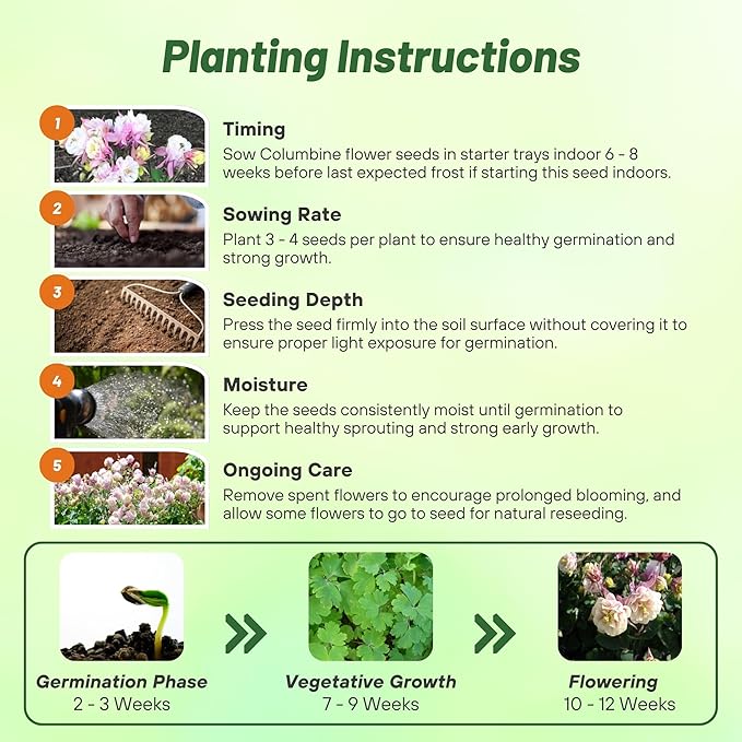 Outsidepride Rose White Columbine Seeds - 20 Pcs Perennial, Easy to Grow Flower Seeds for Planting, Suitable for Pollinator-Friendly Garden, Cut Floral Arrangements, Ground Covers, or Borders