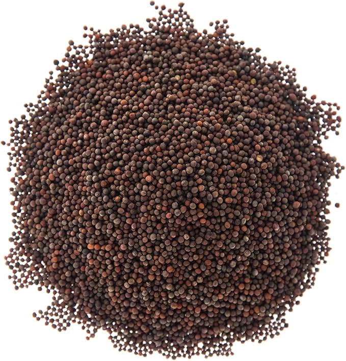 Sulforaphane MICROGREEN Seed Mix | Perfect for Microgreen Growing Trays | Kale, Cabbage, Turnip & Broccoli Sprouting Seeds | Non GMO Heirloom Seeds | 1 LB Resealable Bag | Rainbow Heirloom Seed Co.