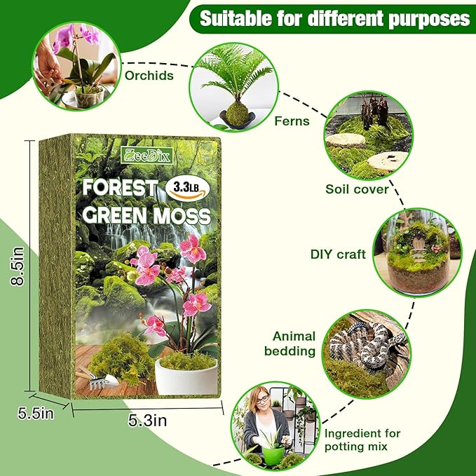 ZeeDix 3.3 lbs Forest Moss for Plants Indoor - Dried Orchid Moss for Repotting, Natural Green Sphagnum for Potted Plants Carnivorous Monstera Succulents Crafts Reptile Habitat (Expands to 60 qt)