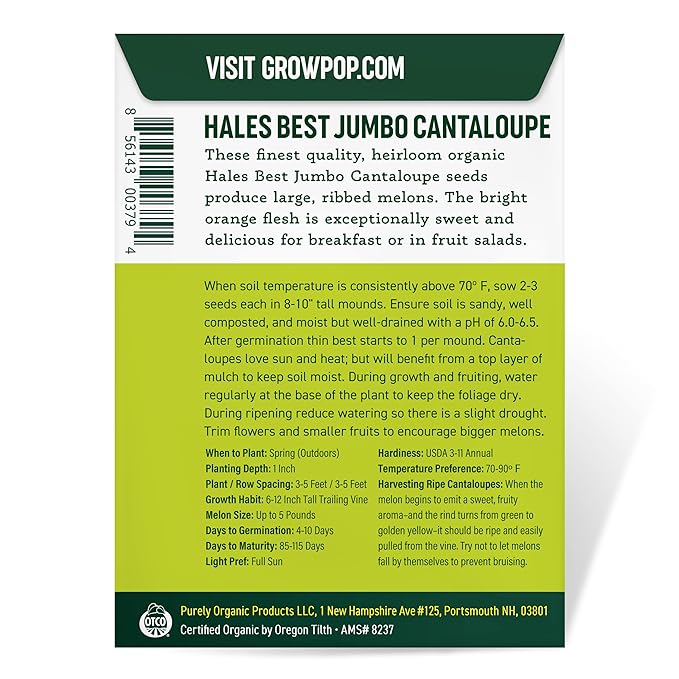 Organic Cantaloupe Seeds (Hales Best Jumbo) - Approx 80 Seeds - USDA Organic, Non-GMO, Open Pollinated, Heirloom, USA Origin