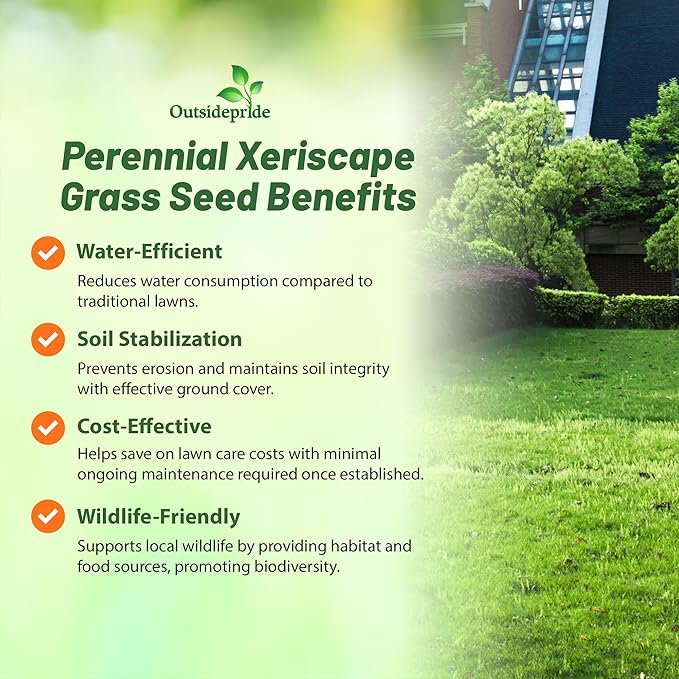 Outsidepride Xeriscape Native Prairie Grass Seed Mix – 1 lb. Perennial, Warm-Season, Cold & Drought-Tolerant, Fine Leaved, Dense Turf Grass Seeds for Lawn, Ground Cover & Arid Xeriscape Landscaping