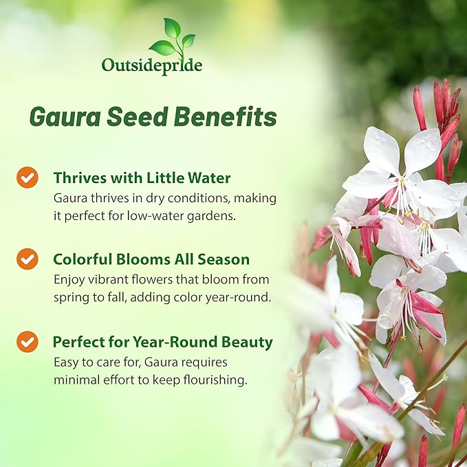 Outsidepride Gaura Seeds - 200 Pcs. Perennial, Drought Tolerant & Low Maintenance, Flower Seeds for Planting Easy to Grow, Vibrant & Tall White-Pink Blooms for Xeriscaping & Pollinator Gardens