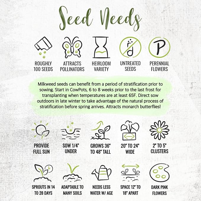 Seed Needs Milkweed Seeds for Planting Showy Pink/Common Pink Asclepias Flowers - Heirloom Wildflowers to Attract Monarch Butterflies to a Butterfly Garden