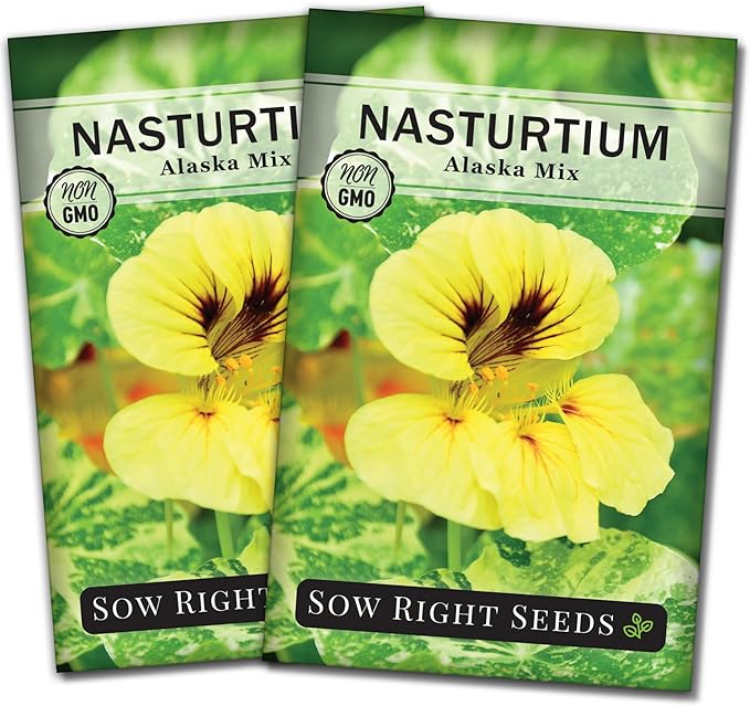 Sow Right Seeds - Dwarf Alaska Mix Nasturtium Seeds for Planting - Edible Flower - Non-GMO Heirloom Packet with Instructions to Plant in Your Garden - Warm Colored Blooms and Variegated Leaves (2)