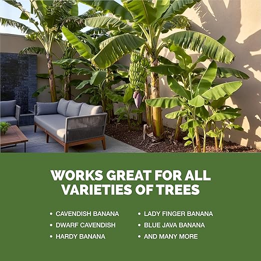 Banana Tree Fertilizer – Liquid Fertilizer for All Banana Tree Varieties, Supports Growth & Fruiting, 8 oz