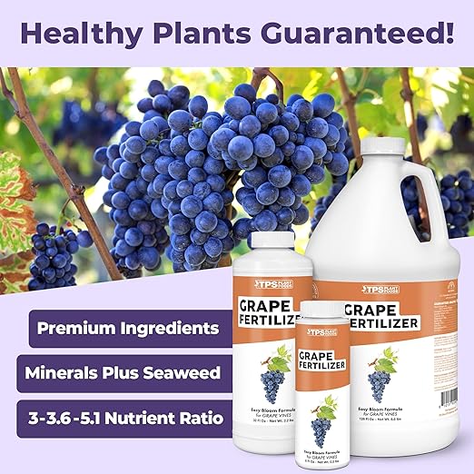 Grape Fertilizer – Liquid Plant Food for Bigger Harvests, Stronger Vines & Better Fruit Development, 32 oz
