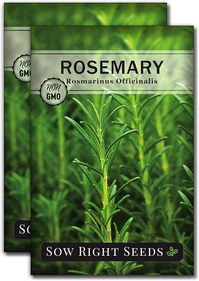 Sow Right Seeds - Rosemary Seed for Planting - Non-GMO Heirloom Packet with Instructions to Plant and Grow a Kitchen Herb Garden - Indoors or Outdoor - Tasty Culinary Herb, Super Fragrant (2)