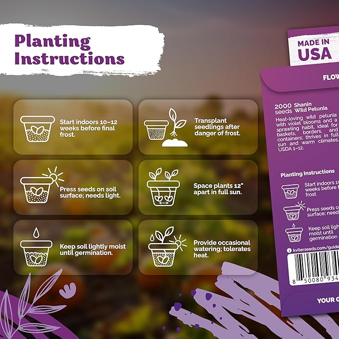 KVITER 2000 Shanin Wild Petunia Seeds for Planting (Pеtuniа viоlacea) – Violet Petunia Seed Packets Bulk – Annual Purple Flower Seeds to Plant Outside in Hanging Baskets, Flower Garden, Containers