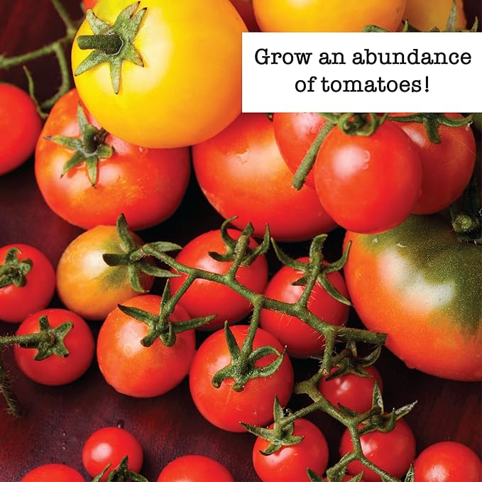 Ferry-Morse Tomato Lover Organic Seed Variety Pack - 7 Pack