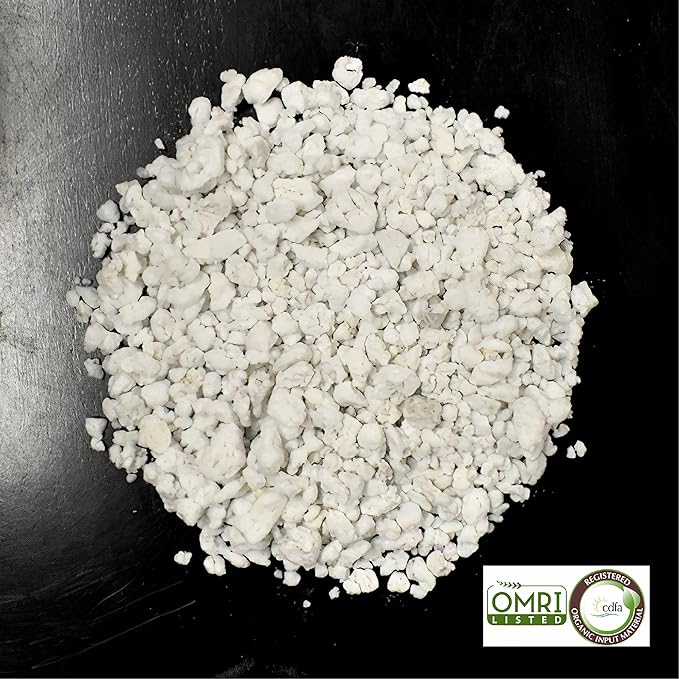 Palmetto Vermiculite Company 4 Cubic Foot Planting Soil Additive (Perlite)