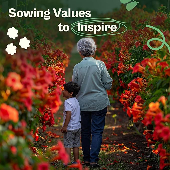 SVI 50 Red Trumpet Vine Seeds for Planting (Campsis radicans) – Trumpet Creeper Seed Packets, Hummingbird Flowers – Heirloom Flower Seeds to Plant Outside - Fences, Trellises, Outdoor Garden