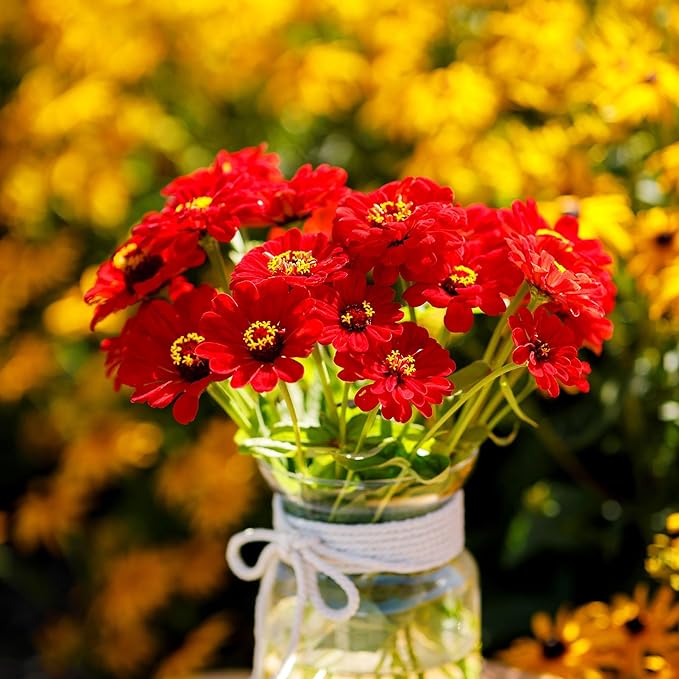 Eden Brothers Zinnia Seeds - Scarlet Flame, Non-GMO Seeds for Planting, 1 oz | Low-Maintenance Flower Seeds, Plant During Spring, Zones 3, 4, 5, 6, 7, 8, 9, 10