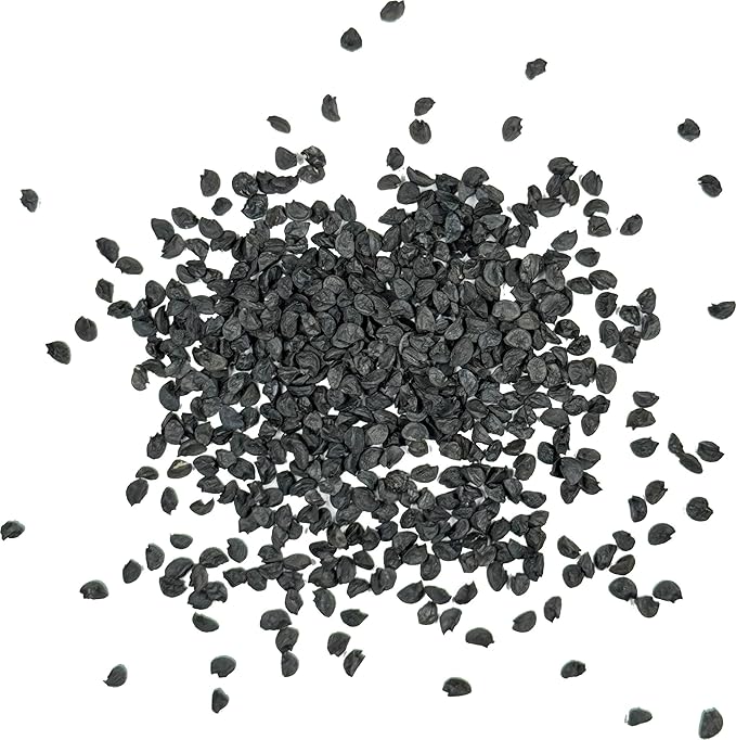 Seed Needs Onion Seeds for Planting Tokyo White Bunching Long Day Onions - Non-GMO Heirloom & Untreated Vegetable Seeds to Plant an Outdoor Home Grown Veggie Garden (1 Pack)