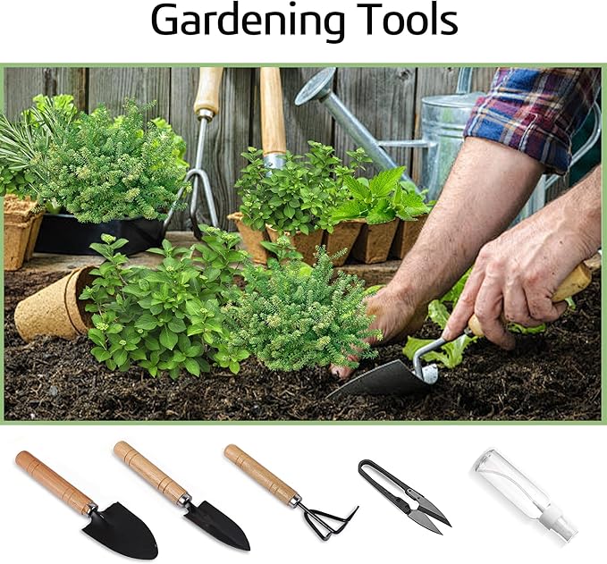 Indoor Herb Garden Starter Kit, Growing into Basil, Parsley, Rosemary, Thyme, Mint, Including A Wooden Box, Soil Discs & Planters with A Gift Box, Ideal Gifts for Women