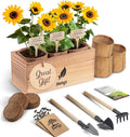 AVERGO Sunflower Seeds Growing Kit – Complete Seed and Plant Indoor & Outdoor Kit with Sunflower Seeds for Planting, Planter, Soil, Tools, Instructions – Ideal for Planting Sun Flowers at Home
