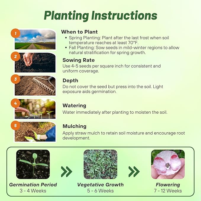 Outsidepride Mother of Pearl Poppy Seeds for Planting - 1,000 Pcs Annual, Drought-Tolerant & Easy to Grow Wildflower Seeds with Vibrant Mix Blooms for Landscaping, & Pollinator Garden