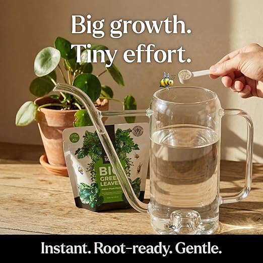 Big Green Leaves Indoor Plant Food – 4X Concentrated Houseplant Fertilizer with Sea Kelp – Makes 90 Gallons – Fast-Acting Mineral Formula, Made in USA (1 lb)