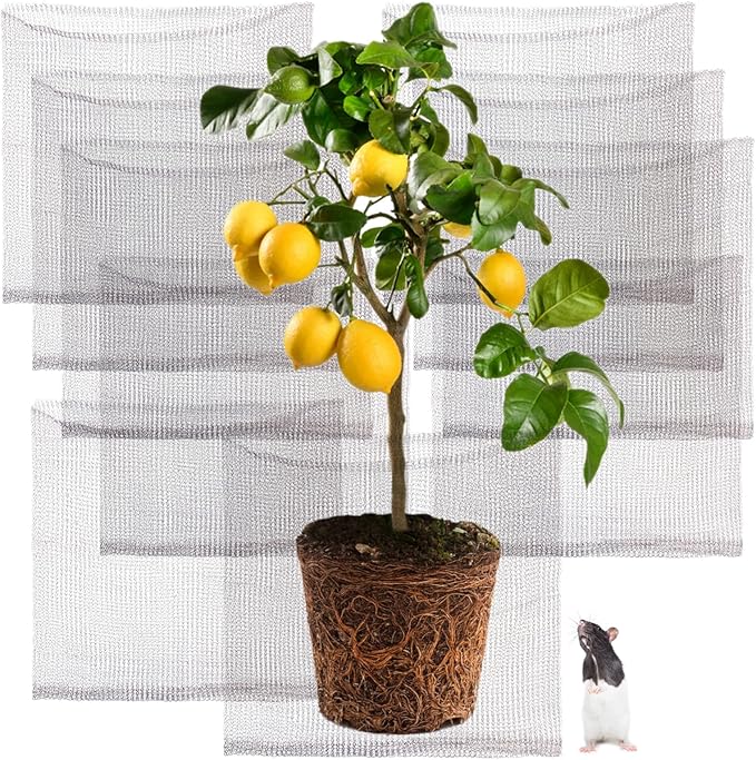 Foyego 10 Pcs 5 Gallon Root Guard Baskets for Plants, Underground Stainless Steel Wire Mesh Cages Gopher and Vole Wire Basket Protect The Roots of Large Plants