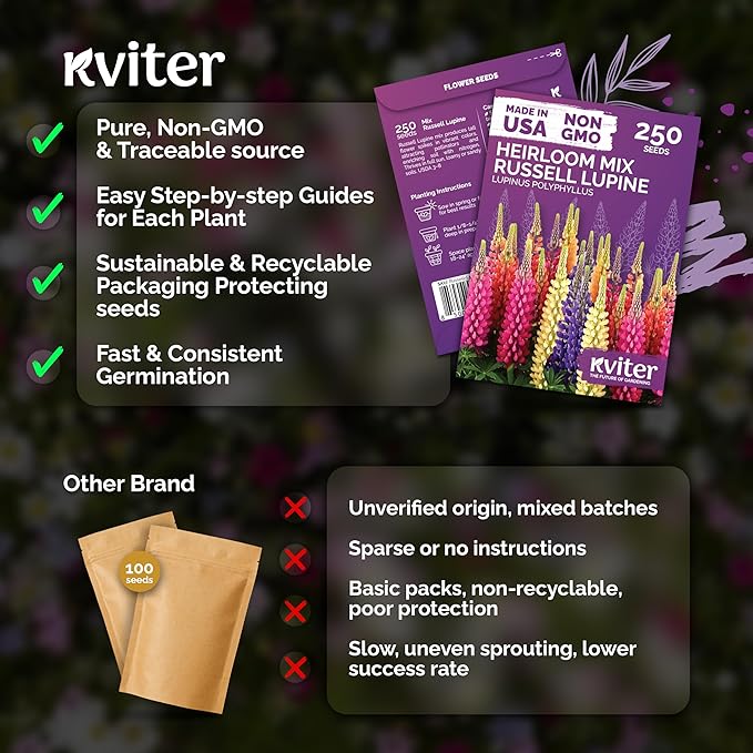 KVITER 250 Mix Russell Lupine Seeds Perennial (Lupinus polyphyllus) - Heirloom & Non GMO Lupine Seed Packets, Pollinator Friendly Wildflowers Mix - Flower Seeds for Planting in Garden, Beds & Meadows