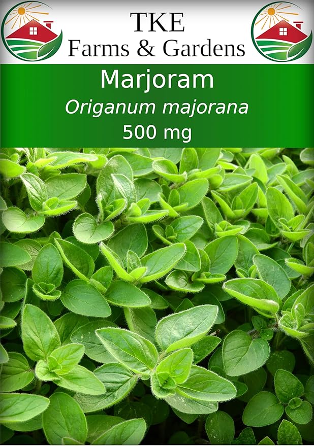TKE Farms & Gardens - Marjoram Seeds for Planting, 500 Mg, 2000 Heirloom Seeds, Non-GMO, Packet Includes Instructions for Growing, Origanum majorana, Qty 1