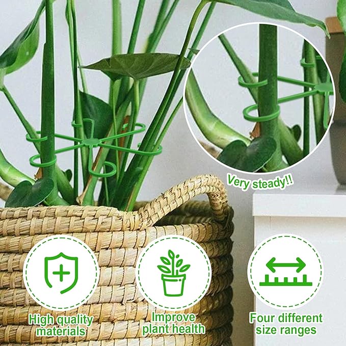 PAGOW 8 Pcs Climbing Houseplant Stem Supports, Plastic Flower Plant Growth Stakes Trellis, Reusable Plant Stem Holders, Stem Hook Growth Accessories for Plant Garden (4 Sizes)