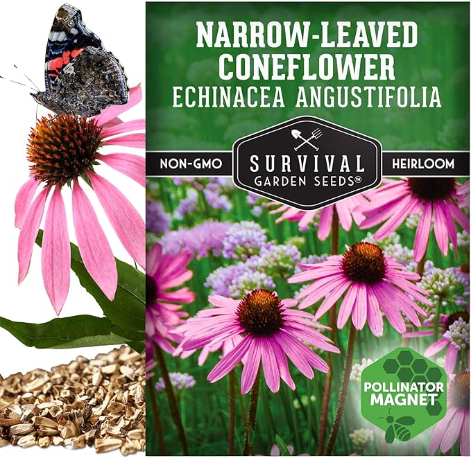 Survival Garden Seeds - Narrow-Leaved Coneflower Seeds for Planting | Echinacea angustifolia | Drought-Tolerant Medicinal | Native Prairie Plant - 1 Pack