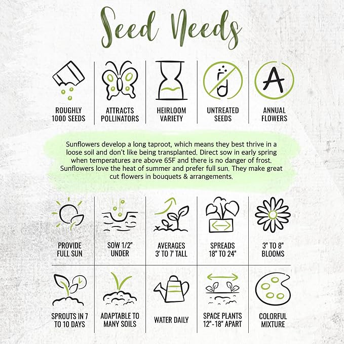 Seed Needs Sunflower Seeds to Plant The Original Crazy Blend | 500+ Heirloom Seeds 15+ Varieties Open Pollinated & Untreated | Resealable Bulk Package Multicolored Blooms Flower Seed
