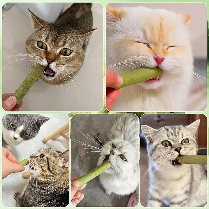Petllgood 30g Cat Grass Sticks, Freeze Dried Cats Grass Teething Stick, Edible Cat Chew Toy for Teeth Cleaning Dental Health and Hairball Removal