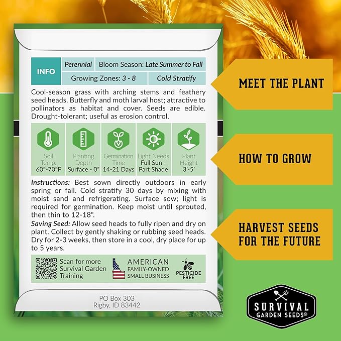 Survival Garden Seeds – Canada Wild Rye (Elymus Canadensis) | Fast-Growing Prairie Grass | Erosion Control | North American Native Grass Seed - 1 Pack