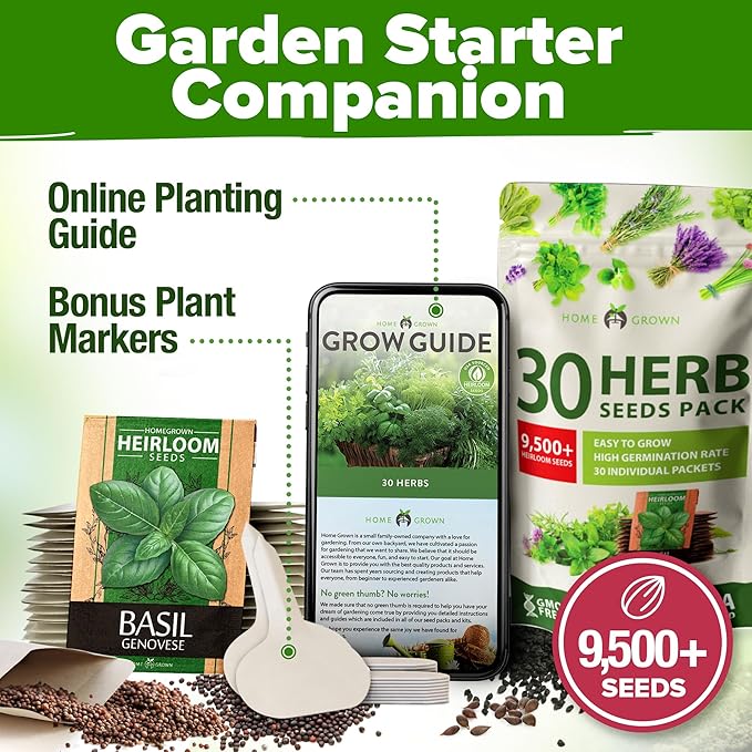 HOME GROWN Italian Basil Seeds 1,424+ & 30 Herb Seeds Pack 9,500+ – 𝗡𝗢𝗡-𝗚𝗠𝗢 USA Heirloom Seeds for Indoor/Outdoor Planting – Perfect for Culinary & Hydroponic Gardens