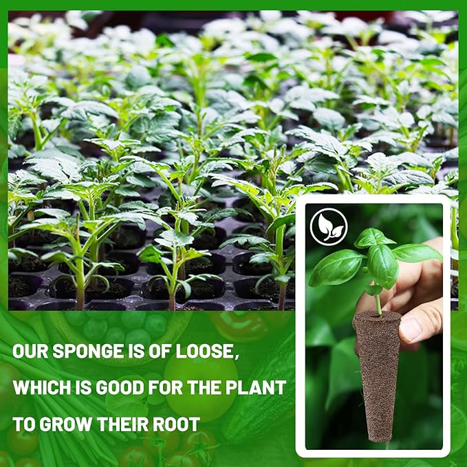 50 Pack Grow Sponges, Sponges Seed Growth Kit (Brown)