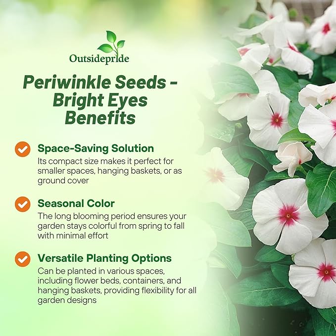 Outsidepride Bright Eyes Periwinkle Seeds for Planting – 4000 Pcs Annual, Fast-Blooming, Heat & Drought Tolerant Vinca Flower Seeds with Vibrant Colors Ideal for Gardens, Beds, Borders & Containers