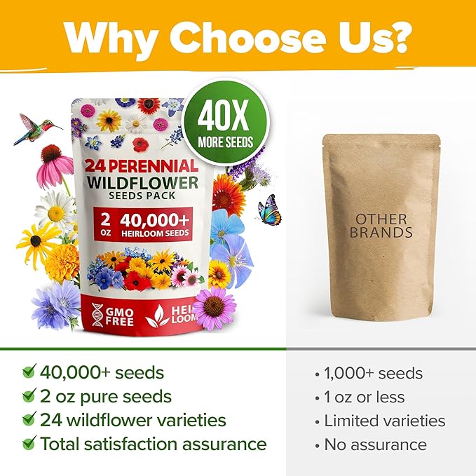 Home Grown Premium Wildflower Seeds Bulk - 60,600+ Perennial Flower Seeds Mix for Planting Outdoors - 24 Variety Wildflower Seed Mix - Attracts Bees, Butterflies & Birds - 2oz Wild Flower Seeds