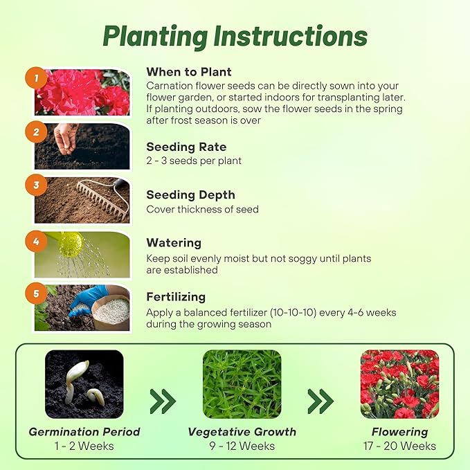 Outsidepride Scarlet Carnation Seeds - 1000 Pcs Biennial, Easy to Grow Flower Seeds for Planting with Fragrant Blooms, Ideal for Pollinators, Cutting Gardens, Bouquets, & Floral Arrangements