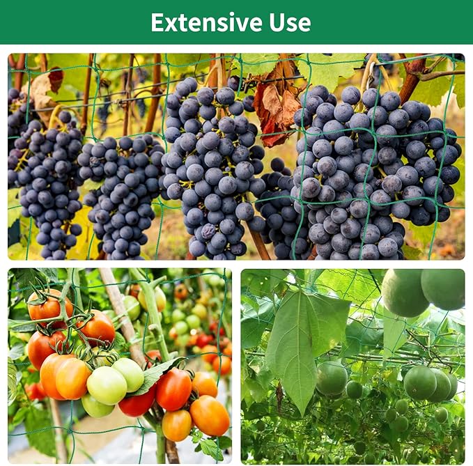 KINGLAKE GARDEN Trellis Netting for Climbing Plants 6 Ft x 12 Ft Green Garden Plant Netting Heavy-Duty Plastic Plant Trellis Netting for Tomato, Cucumber, Plants, Fruits, Flowers