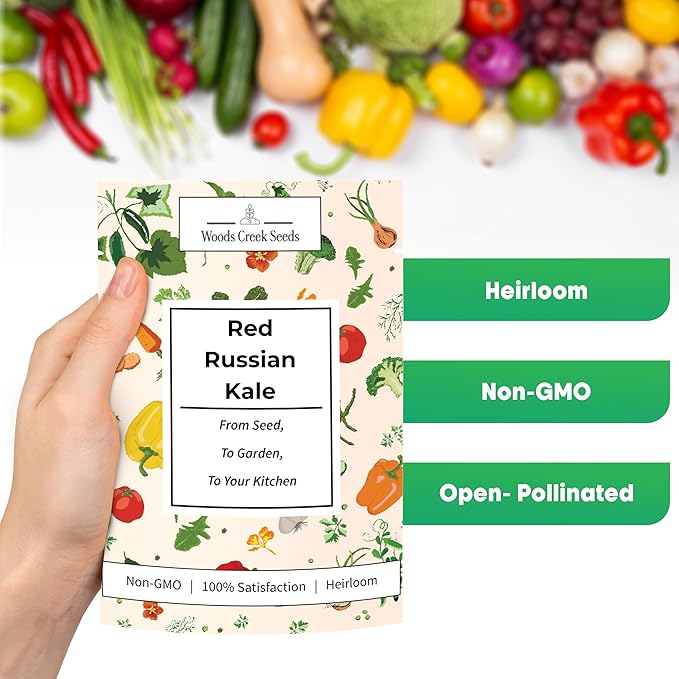 Woods Creek Seeds: Red Russian Kale Seeds for Planting - Over 480 Heirloom Non-GMO Kale Seeds for Planting Outdoors, Indoors or for Hydroponic Gardening - Ideal for Vegetable Gardening at Home