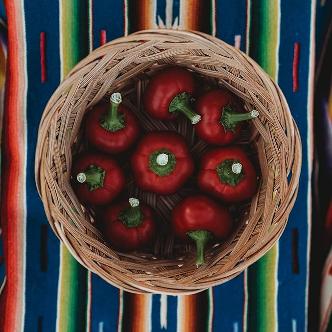 Cascabel Chile Pepper - 25 Seeds - Heirloom & Open-Pollinated Variety, Non-GMO Vegetable Seeds for Planting in The Home Garden, Thresh Seed Company
