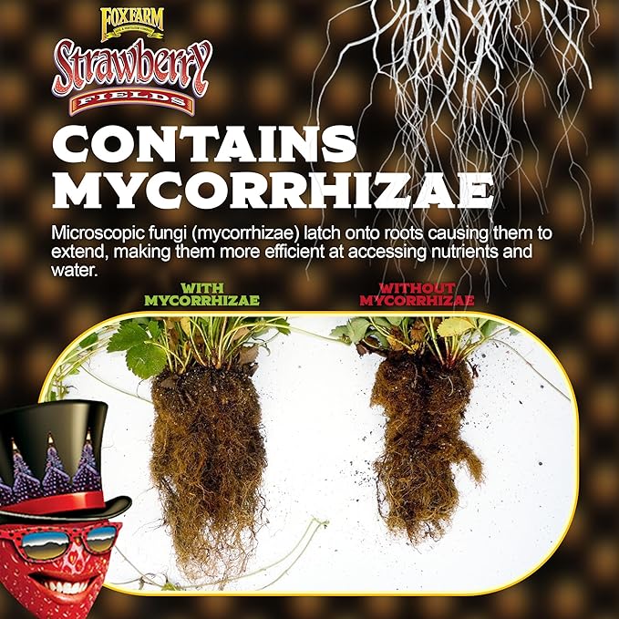 FoxFarm Strawberry Fields Fruiting & Flowering Potting Soil, 1.5cu ft - Use to Increase Blooms, Fruits, and Berries - Made for the Fruiting and Flowering Stages of Plants