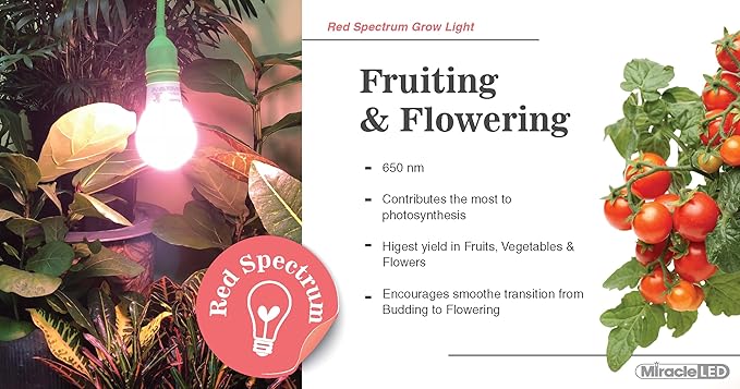 Miracle LED 4KK Indoor Grow Light Bulb – 4000K Red Spectrum Grow Bulbs for Vegetables, Herbs, Hydroponics. (2-Pack)