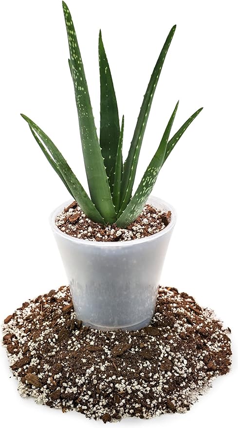 GARDENERA Premium Aloe Vera Potting Soil Mix - (1 Quart Bag)