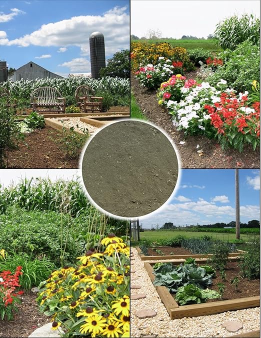 Greensand 20 Pounds – Natural Fertilizer for Healthy Soil, Rich in Potassium & Iron, Great for Gardens, Lawns & Growing - Lancaster Agriculture Products